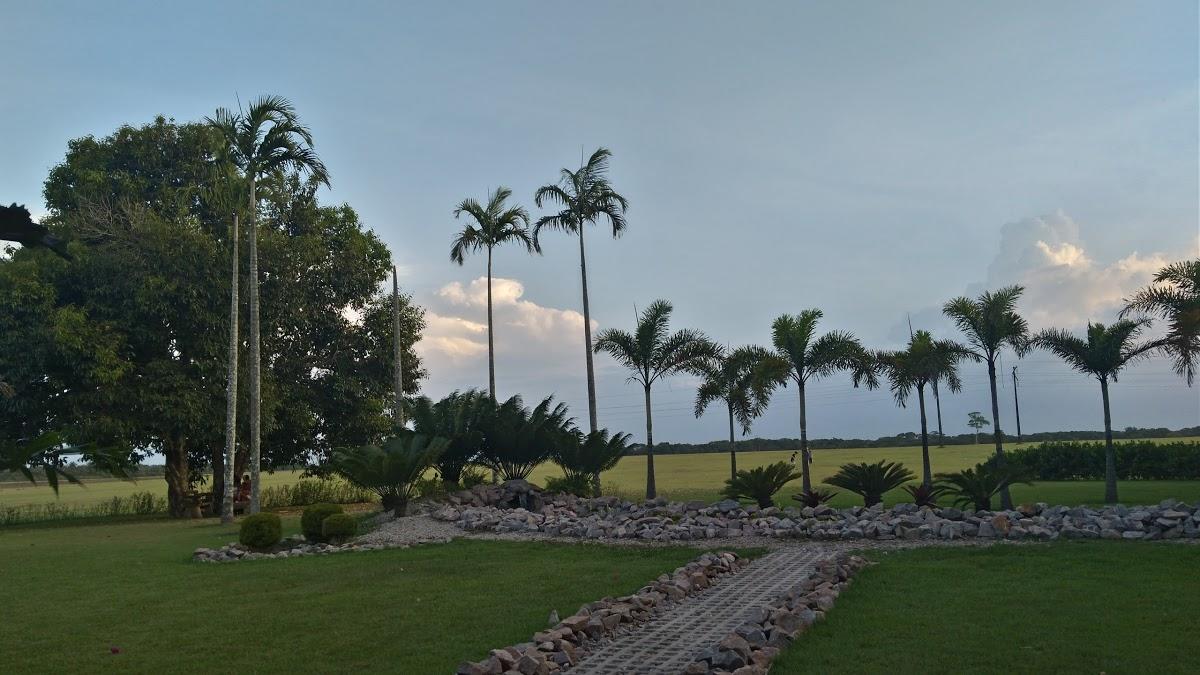 Registro de marca em São Francisco do Pará, Pará