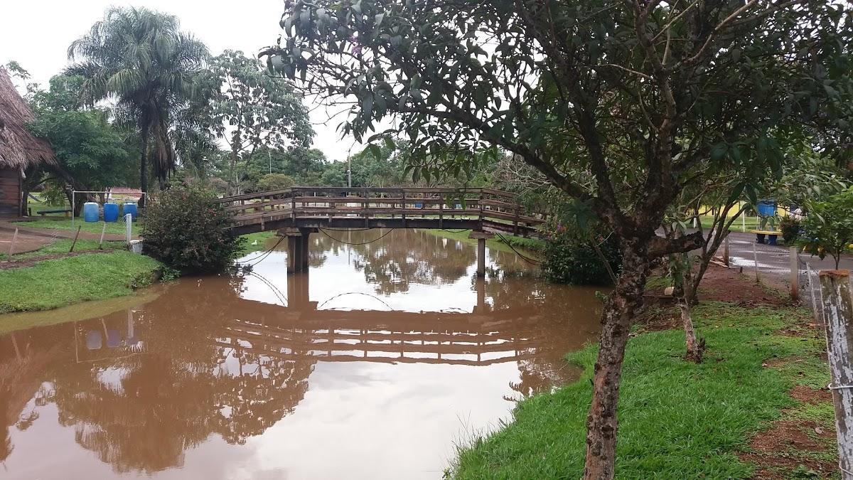 Registro de marca em São Gabriel do Oeste, Mato Grosso do Sul