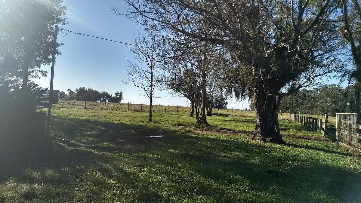 Registro de marca em São Gabriel, Rio Grande do Sul