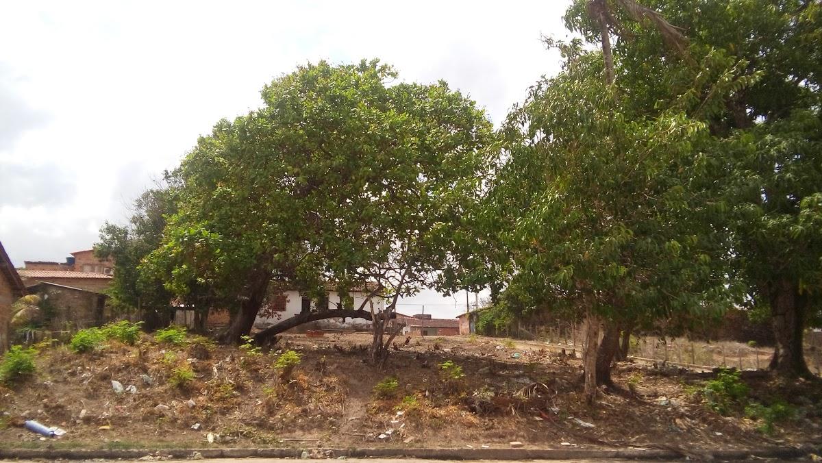 Registro de marca em São João Batista, Maranhão