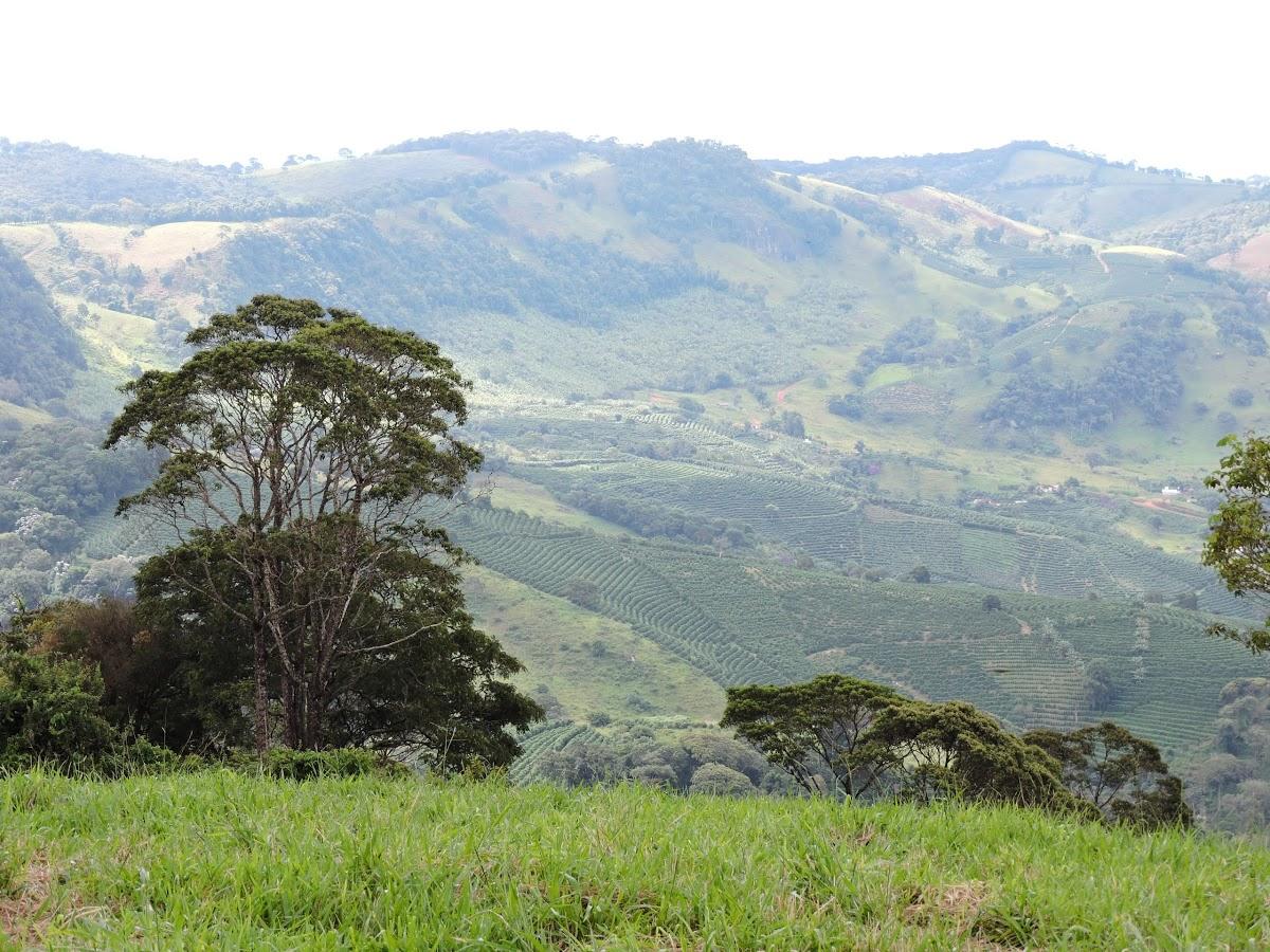 Registro de marca em São João da Mata, Minas Gerais