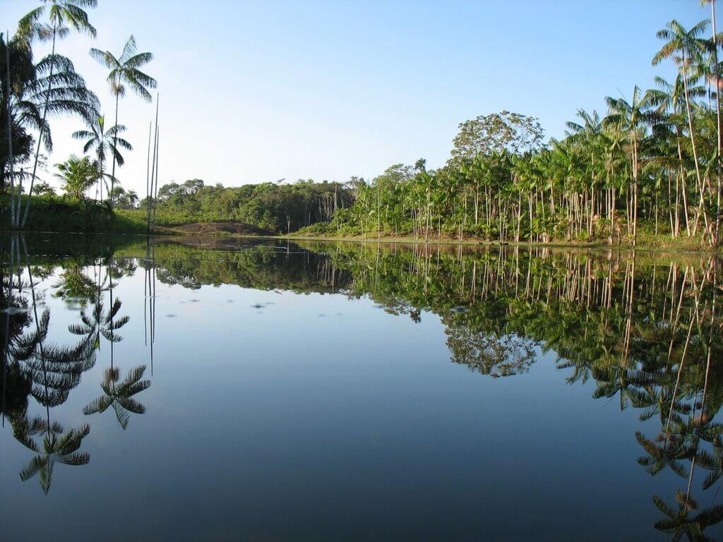 Registro de marca em São João da Ponta, Pará