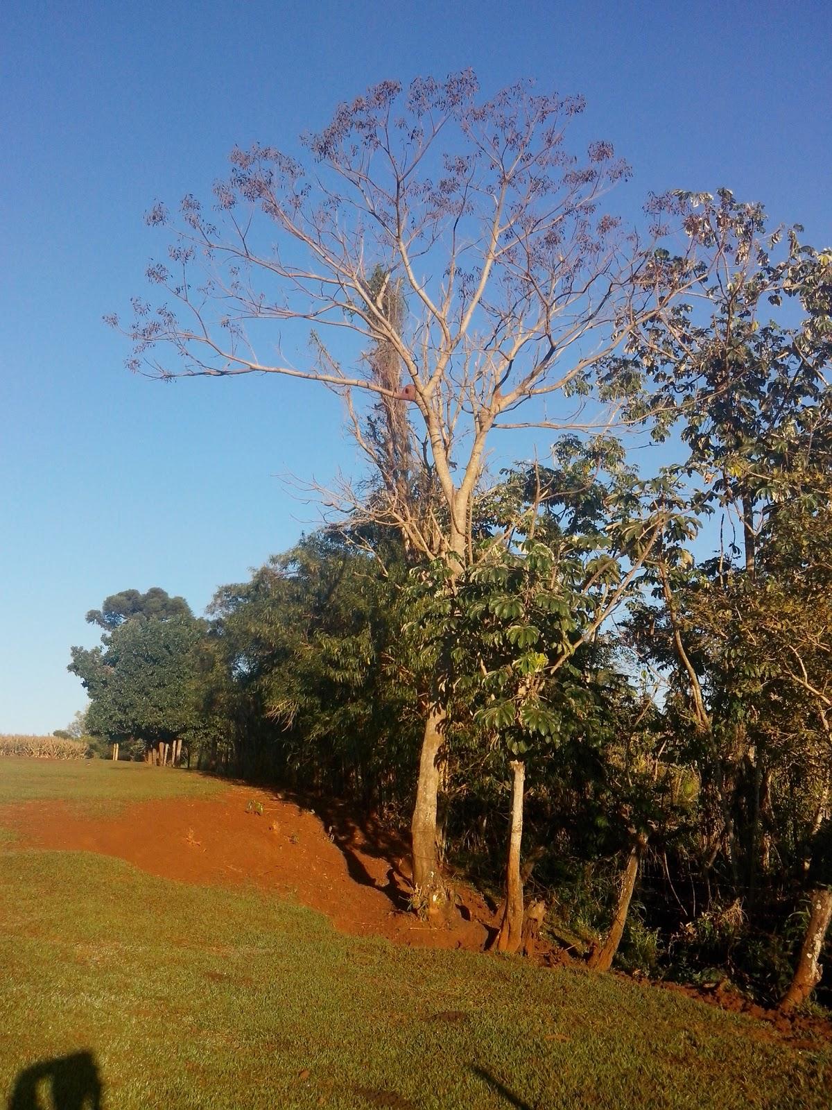 Registro de marca em São João do Ivaí, Paraná