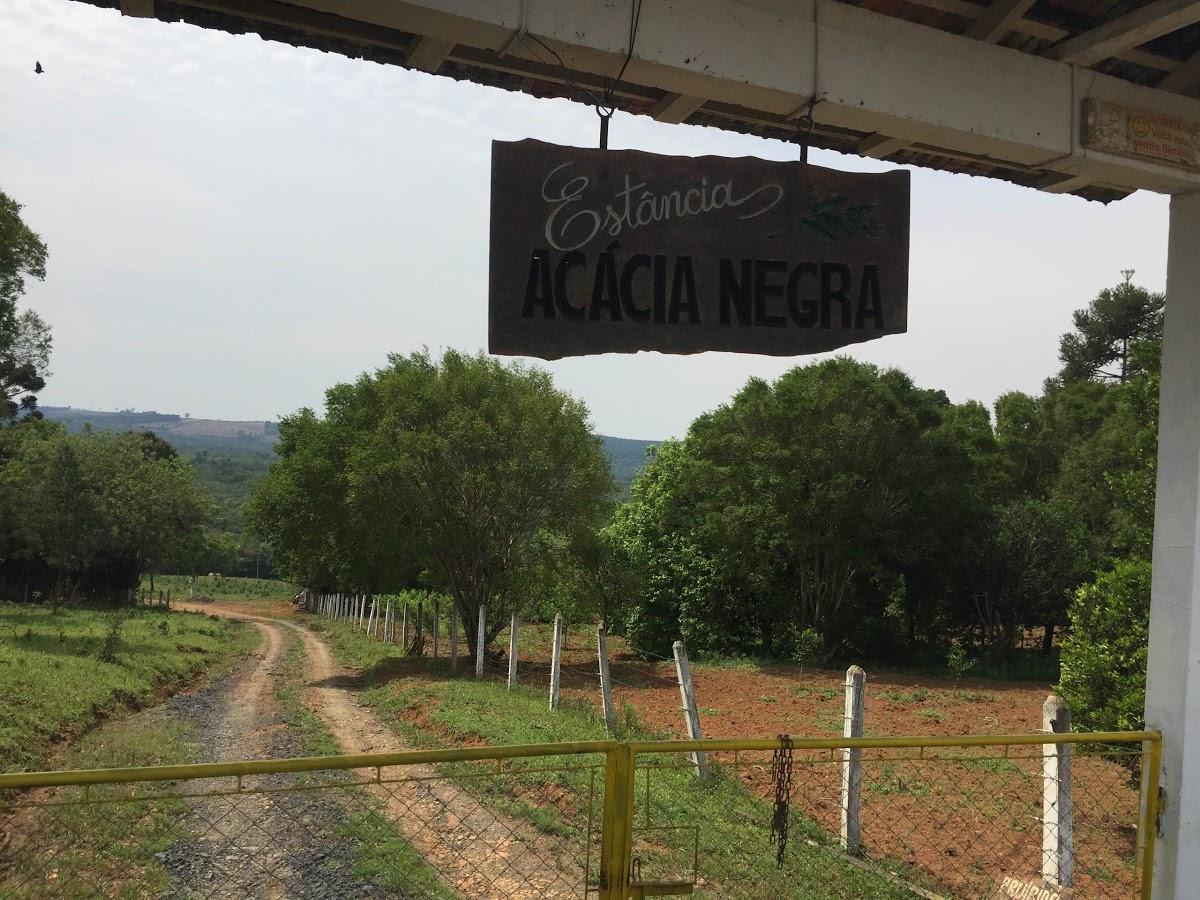 Registro de marca em São João do Triunfo, Paraná