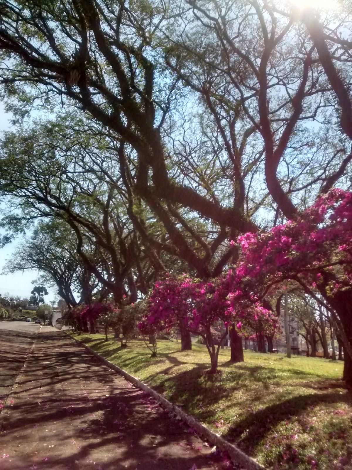 Registro de marca em São João, Paraná