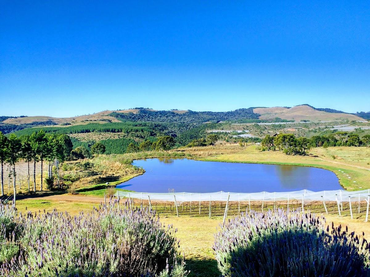 Registro de marca em São Joaquim, Santa Catarina