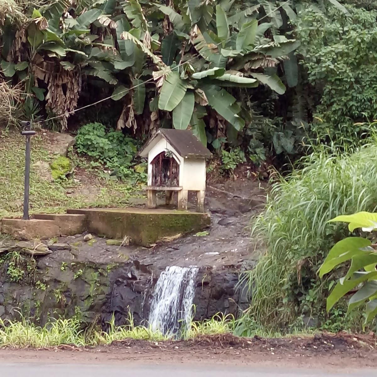 Registro de marca em São Jorge, Rio Grande do Sul