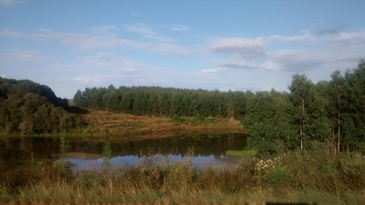 Registro de marca em São José do Herval, Rio Grande do Sul