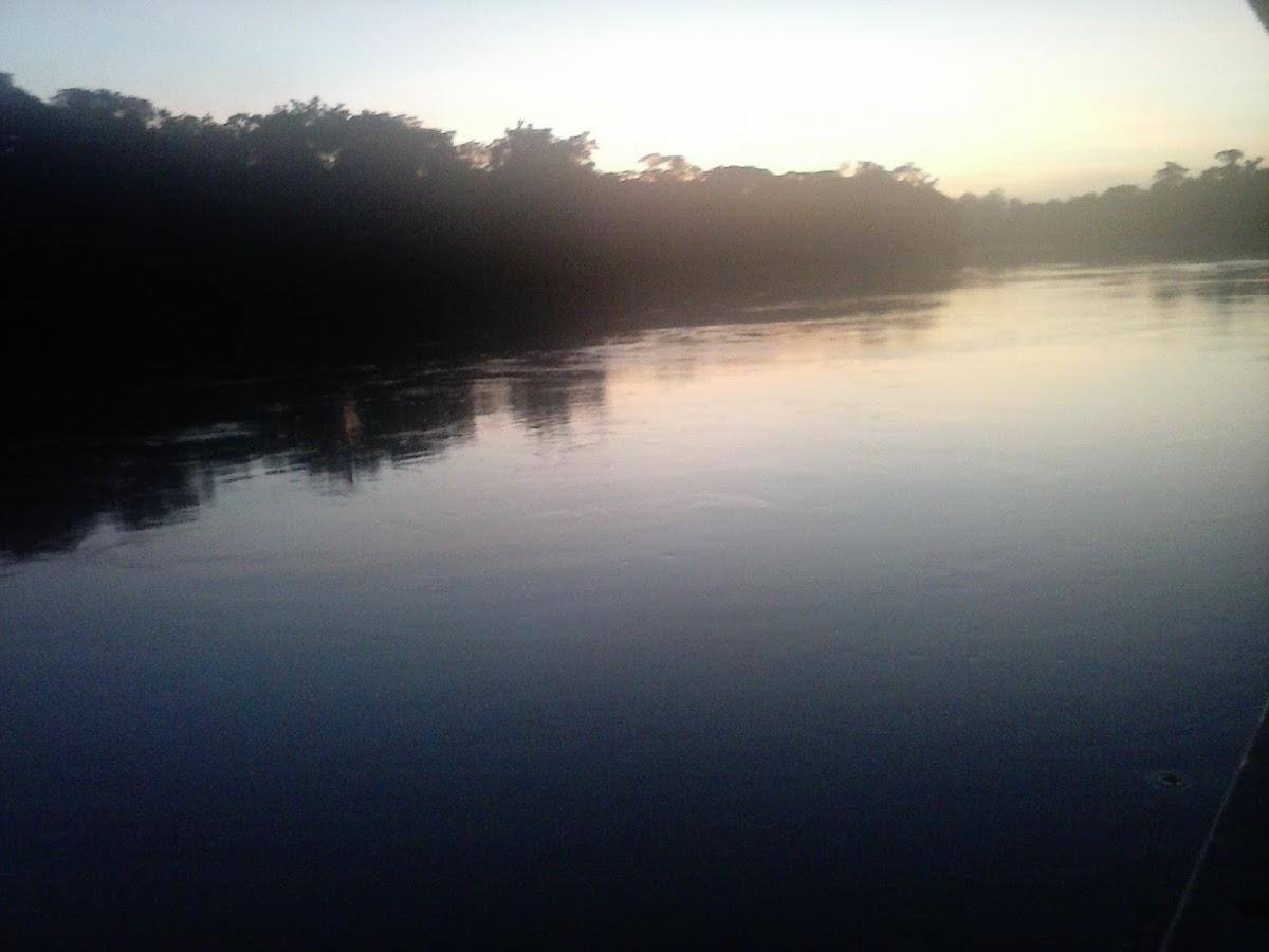 Registro de marca em São José do Rio Claro, Mato Grosso