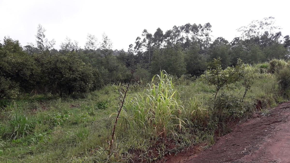 Registro de marca em São José do Sul, Rio Grande do Sul