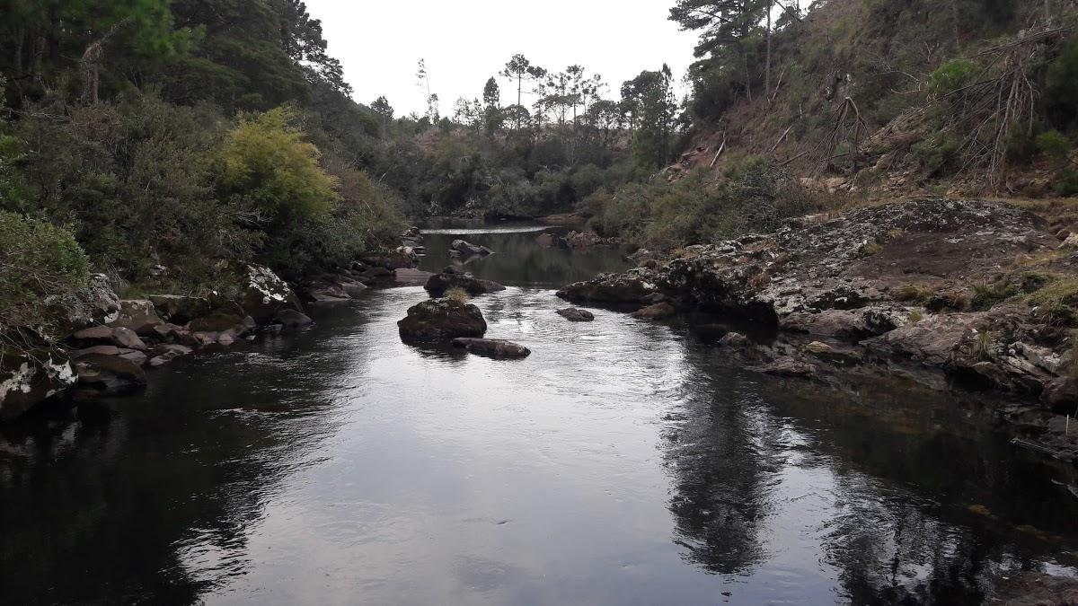 Registro de marca em São José dos Ausentes, Rio Grande do Sul