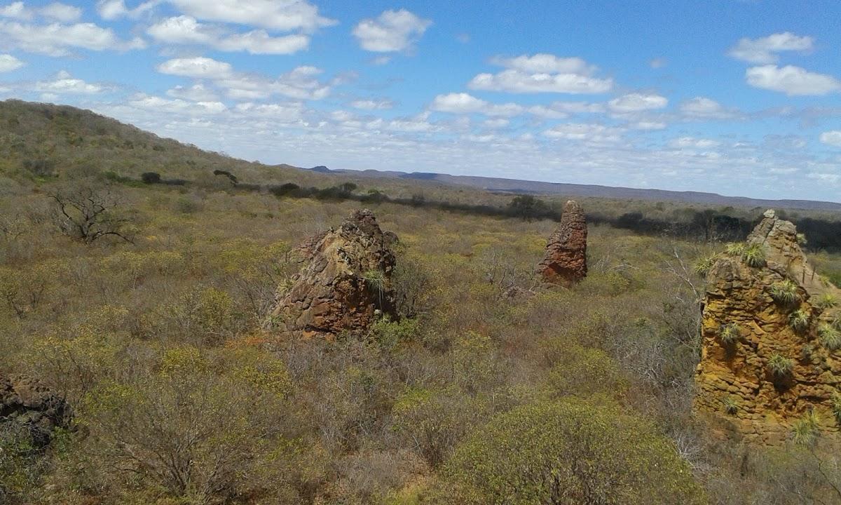 Registro de marca em São Luis do Piauí, Piauí