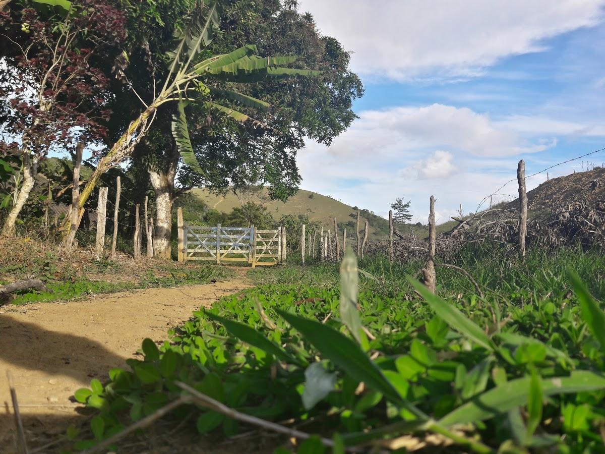 Registro de marca em São Miguel das Matas, Bahia