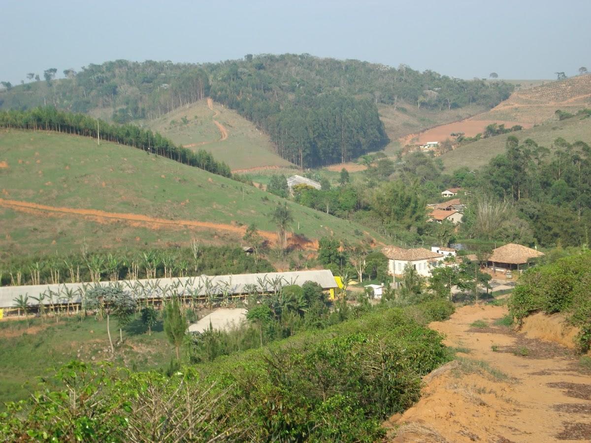 Registro de marca em São Miguel do Anta, Minas Gerais