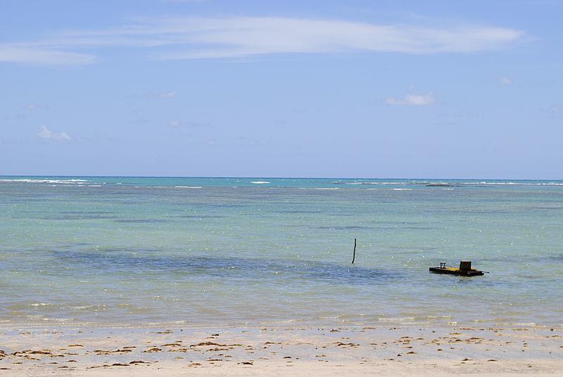 Registro de marca em São Miguel dos Campos, Alagoas