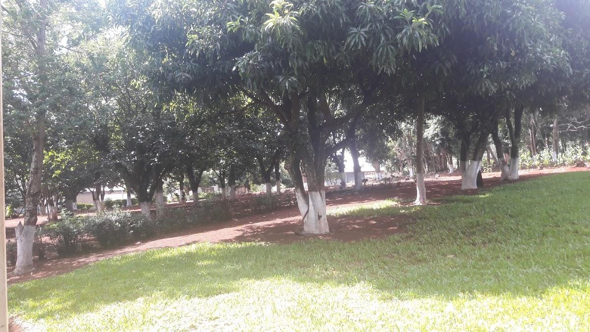 Registro de marca em São Pedro do Iguaçu, Paraná