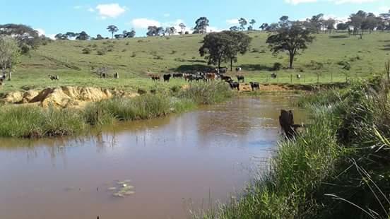 Registro de marca em São Sebastião do Maranhão, Minas Gerais
