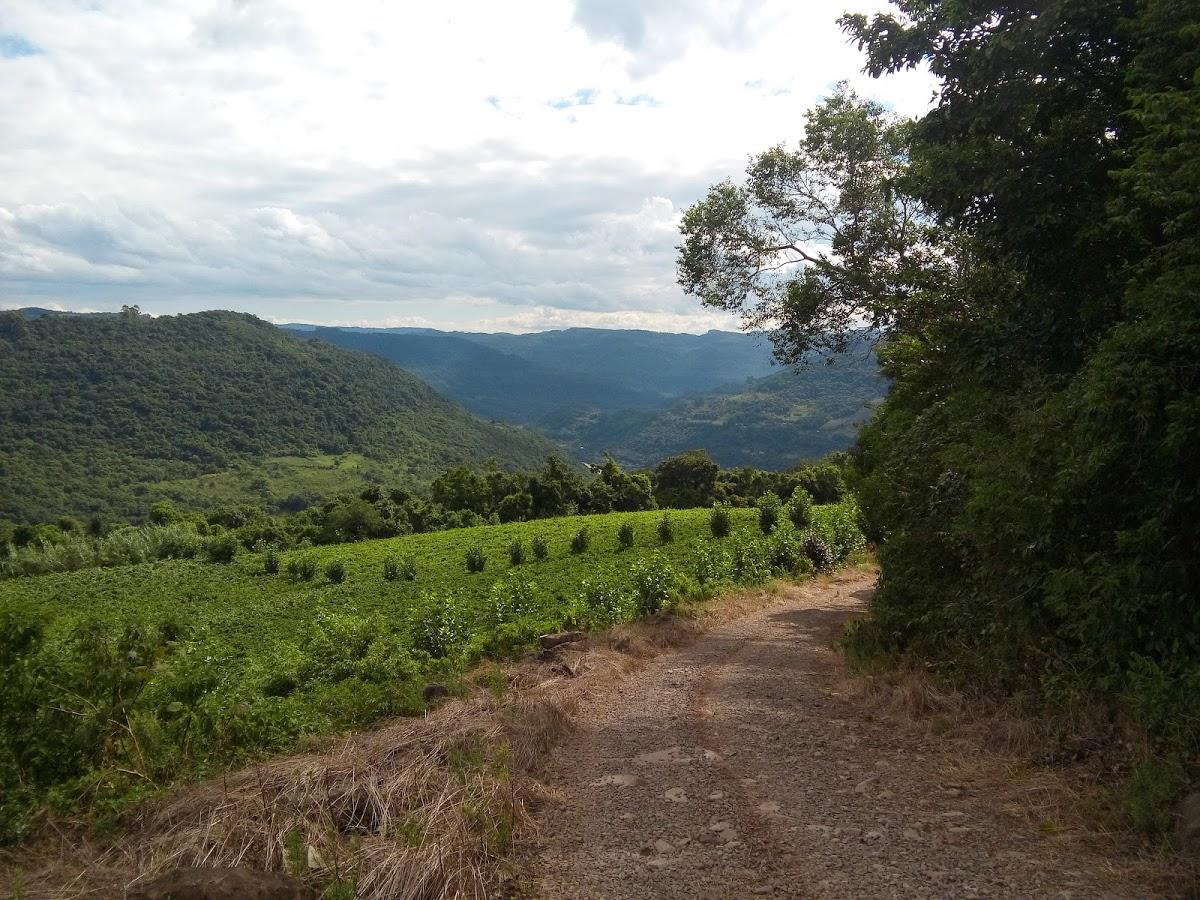 Registro de marca em São Valentim do Sul, Rio Grande do Sul