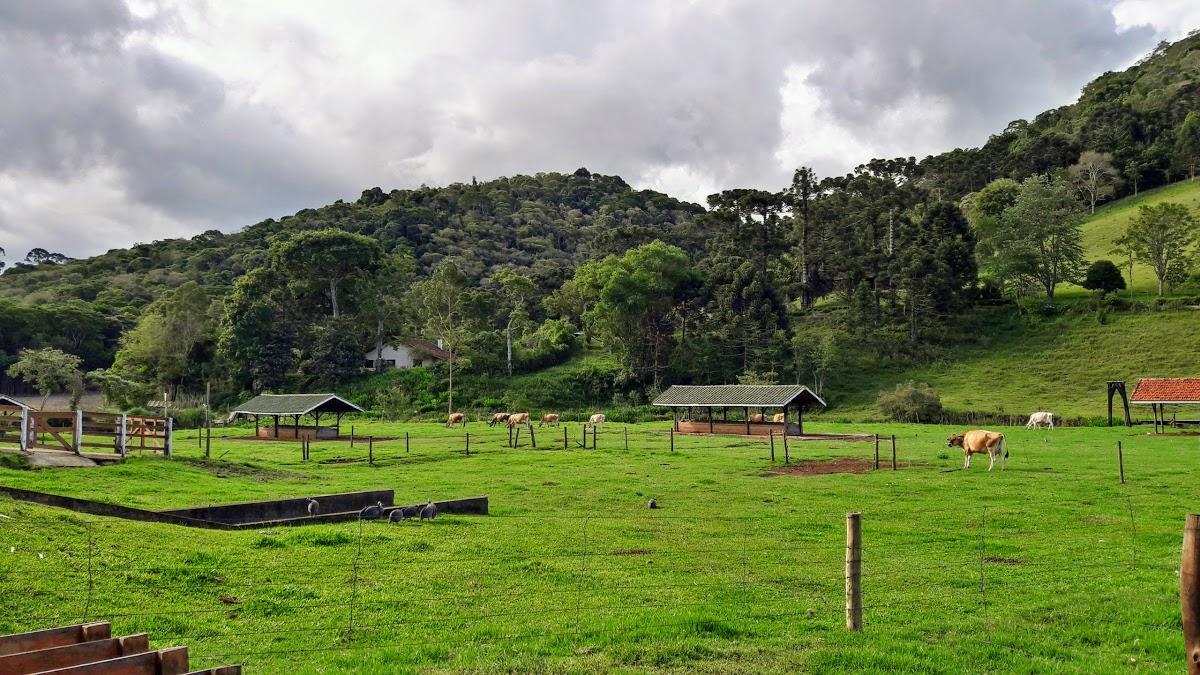 Registro de marca em Sapucaí-Mirim, Minas Gerais