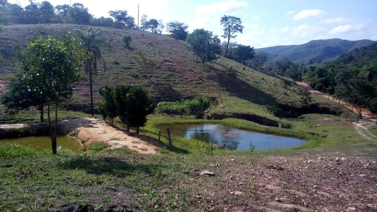 Registro de marca em Senador Modestino Gonçalves, Minas Gerais