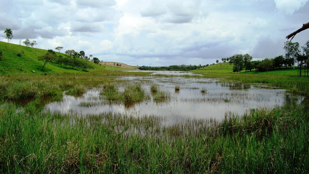 Registro de marca em Serra da Saudade, Minas Gerais