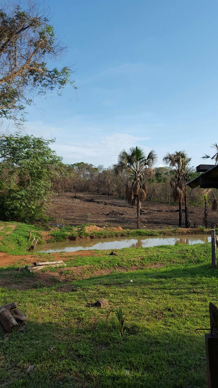 Registro de marca em Serra Nova Dourada, Mato Grosso