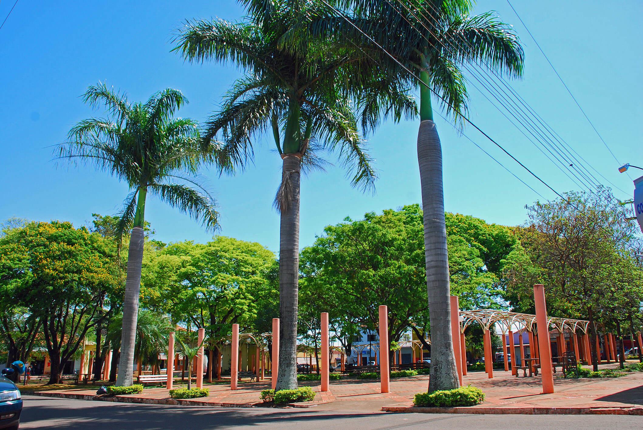 Registro de marca em Sertaneja, Paraná