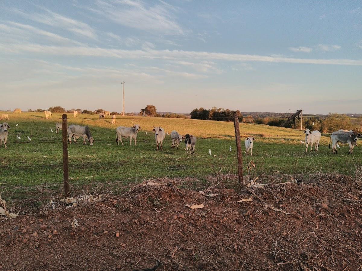 Registro de marca em Sete de Setembro, Rio Grande do Sul