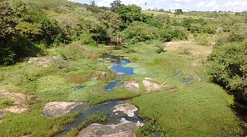 Registro de marca em Sobrado, Paraíba