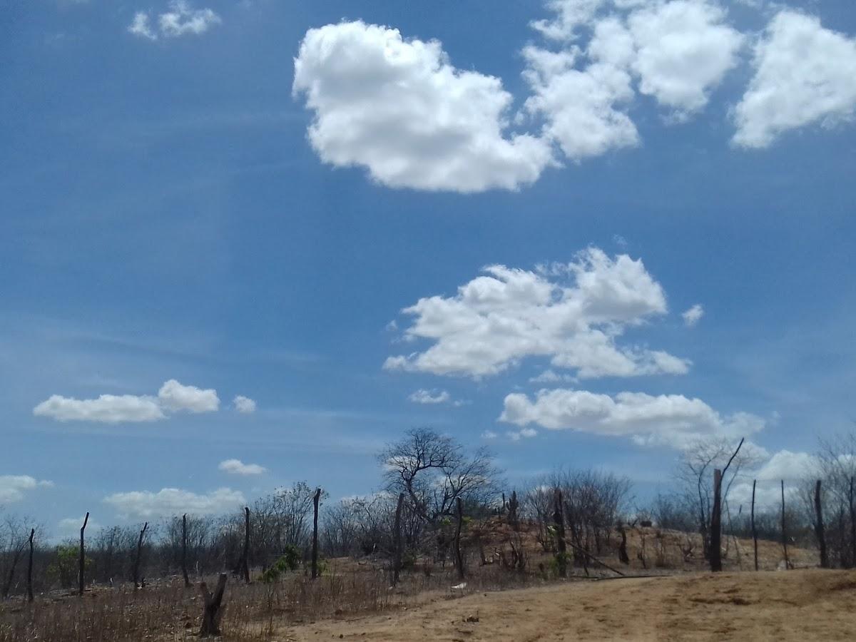 Registro de marca em Solidão, Pernambuco
