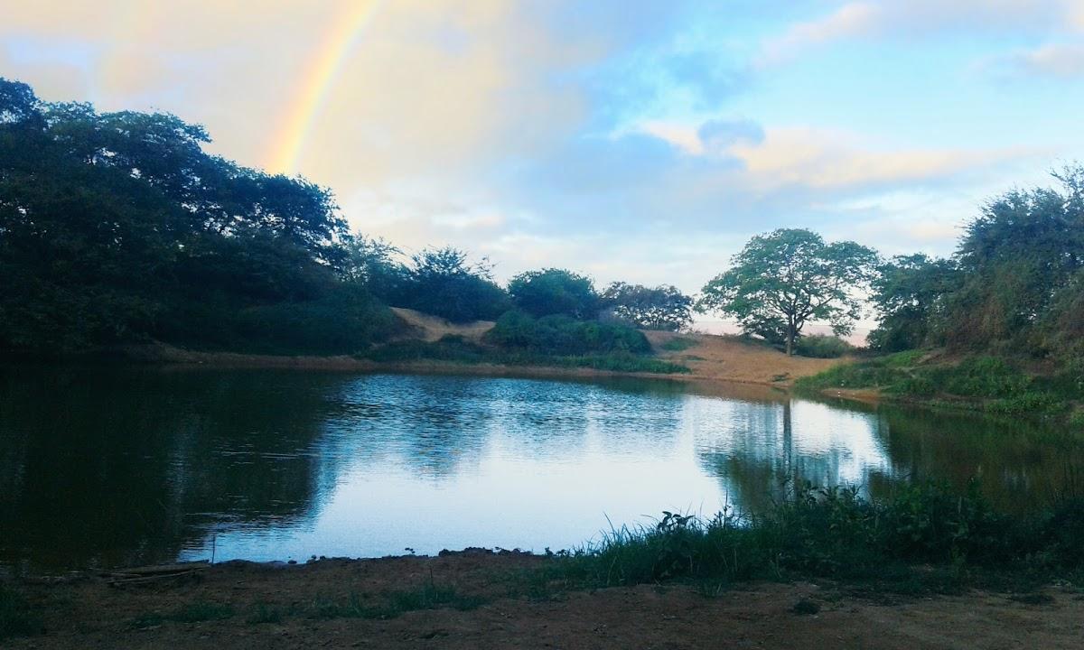 Registro de marca em Souto Soares, Bahia