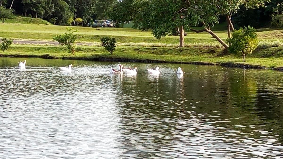 Registro de marca em Sulina, Paraná