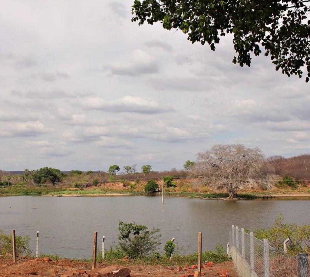 Registro de marca em Sussuapara, Piauí