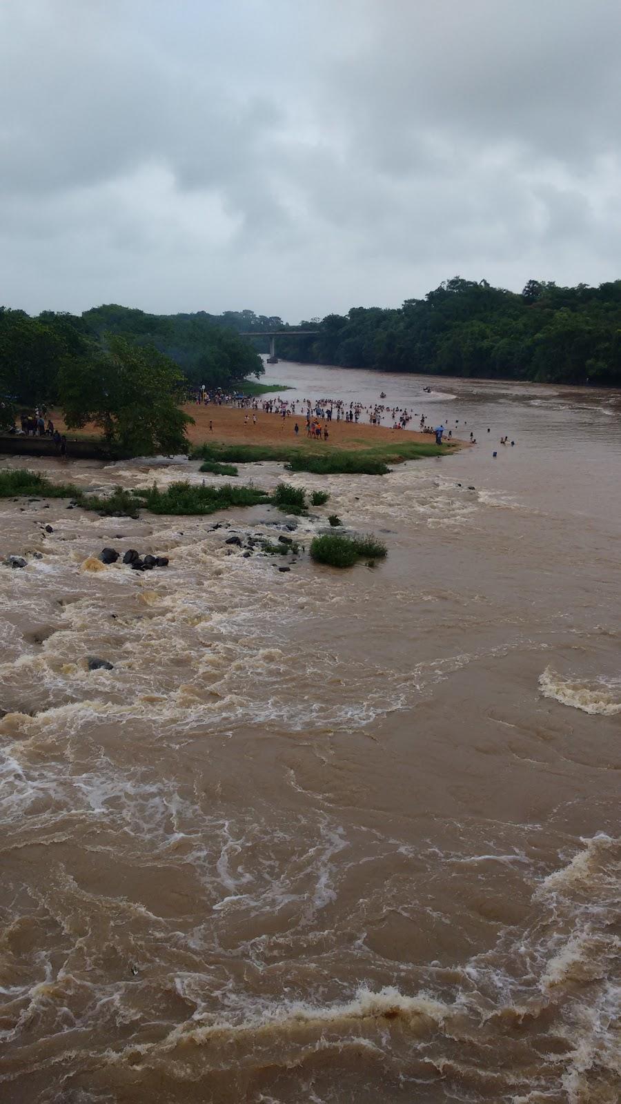 Registro de marca em Suzanápolis, São Paulo