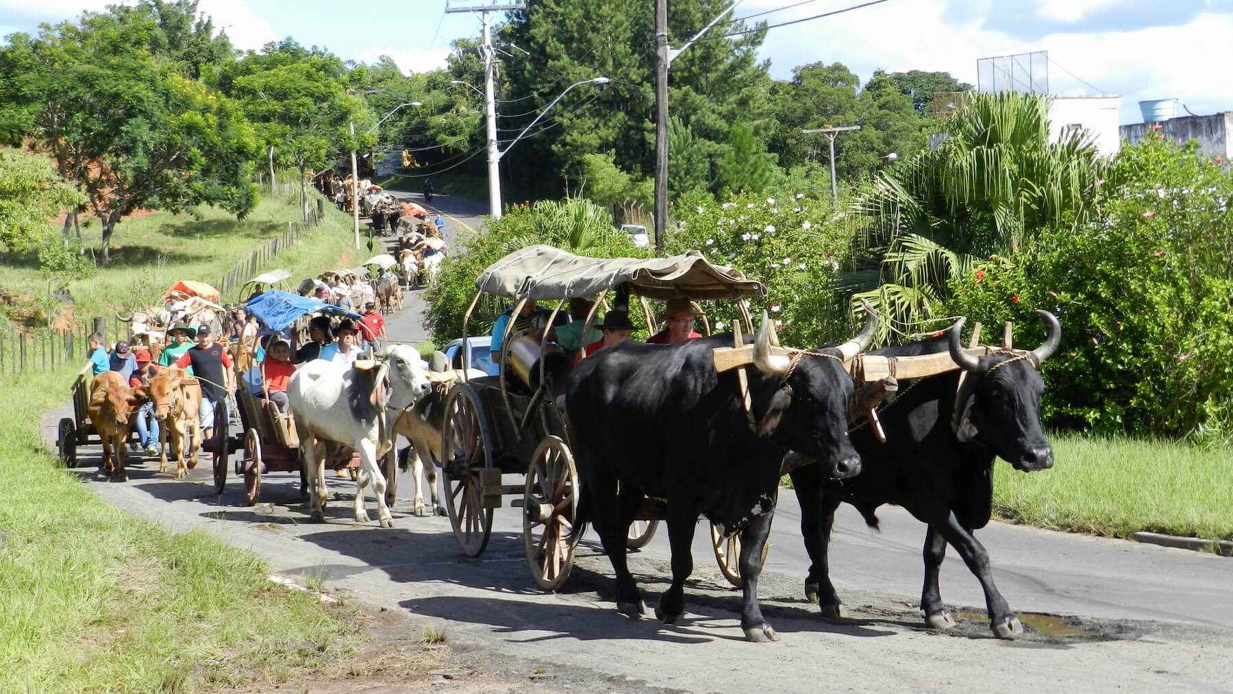 Registro de marca em Tabaí, Rio Grande do Sul