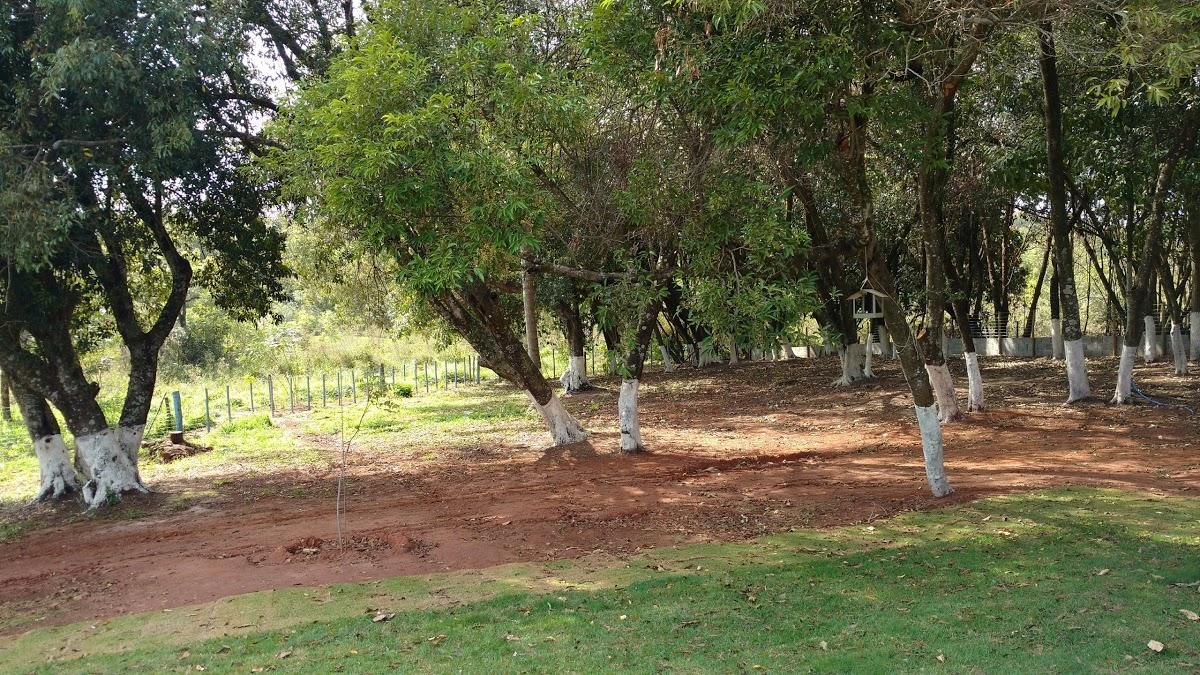 Registro de marca em Tabapuã, São Paulo
