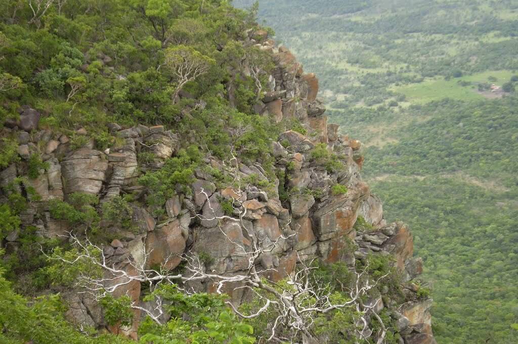 Registro de marca em Taipas do Tocantins, Tocantins