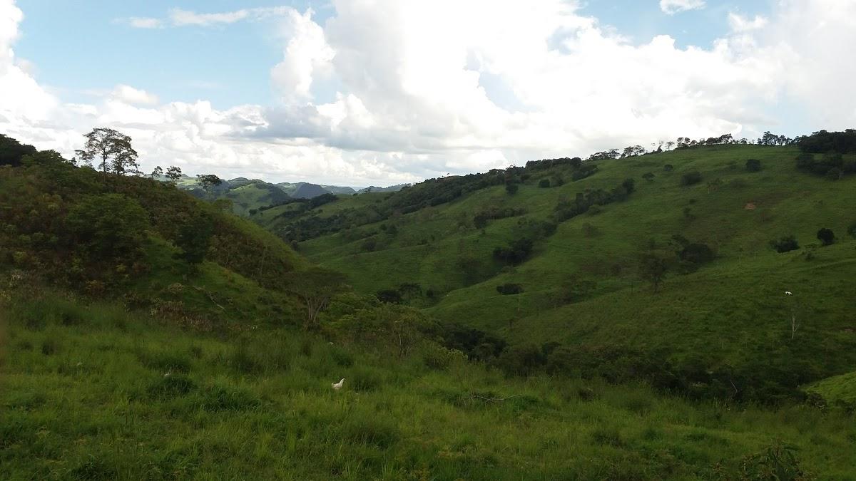 Registro de marca em Taiúva, São Paulo