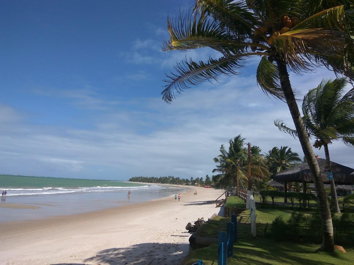 Registro de marca em Tamandaré, Pernambuco
