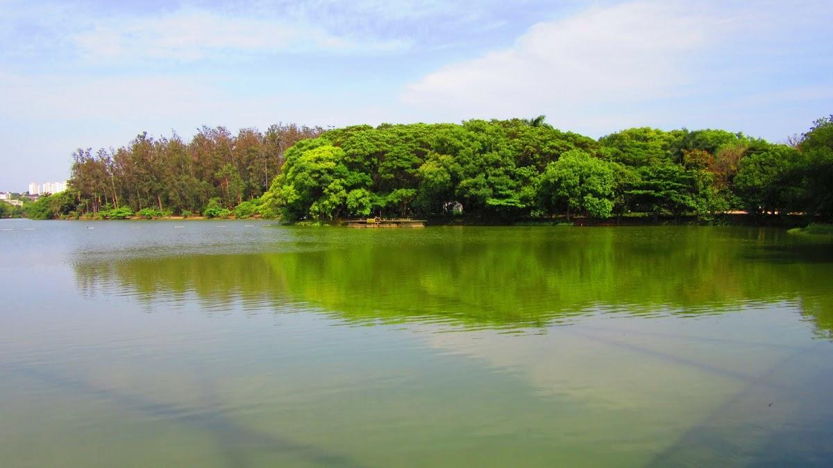 Registro de marca em Taquaral, São Paulo