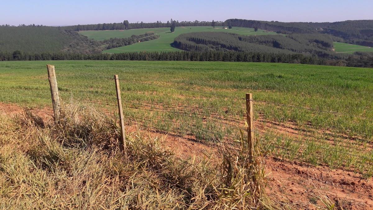 Registro de marca em Taquarivaí, São Paulo