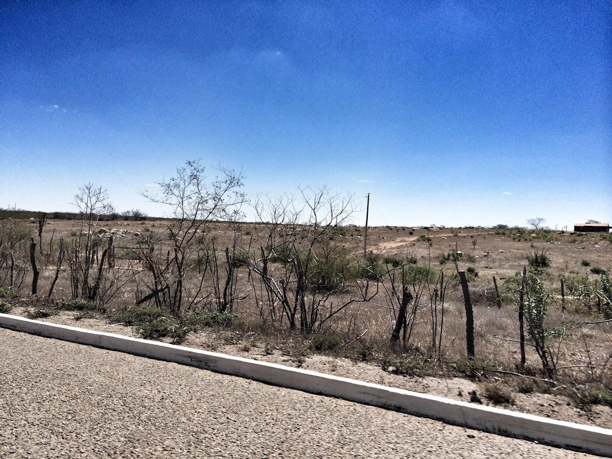 Registro de marca em Terra Nova, Pernambuco