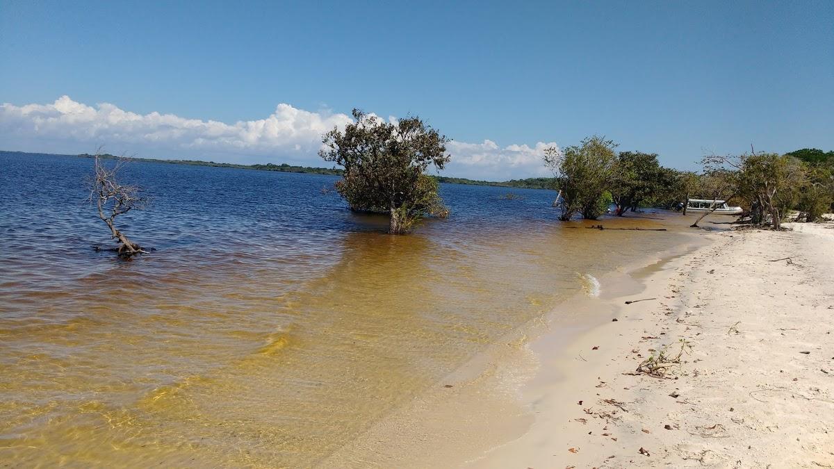 Registro de marca em Terra Santa, Pará
