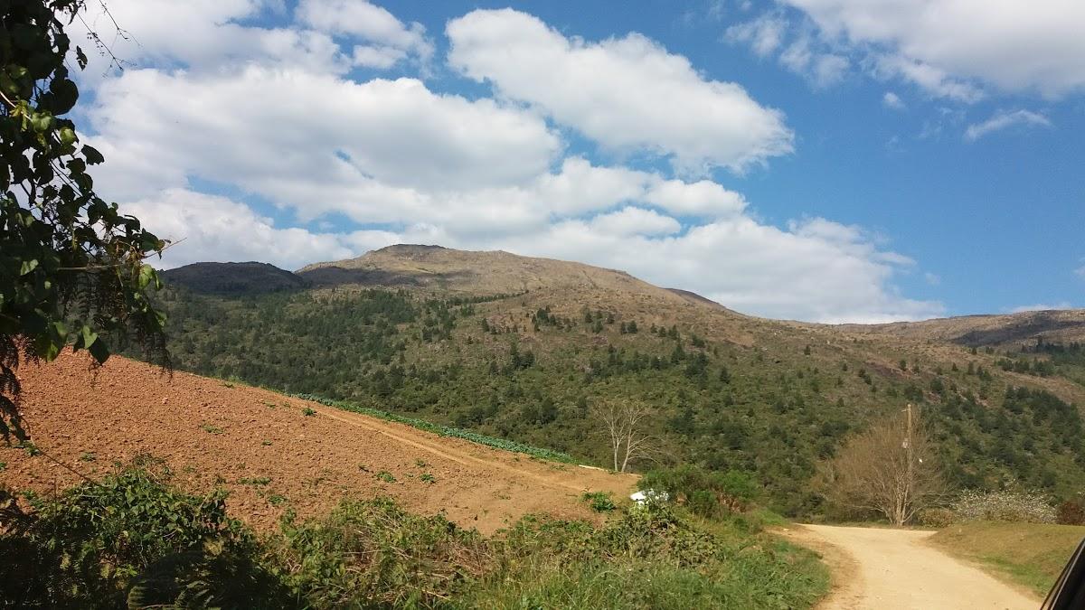 Registro de marca em Tijucas do Sul, Paraná