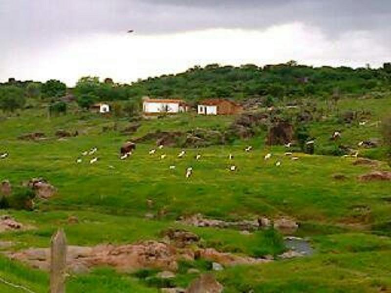 Registro de marca em Toritama, Pernambuco