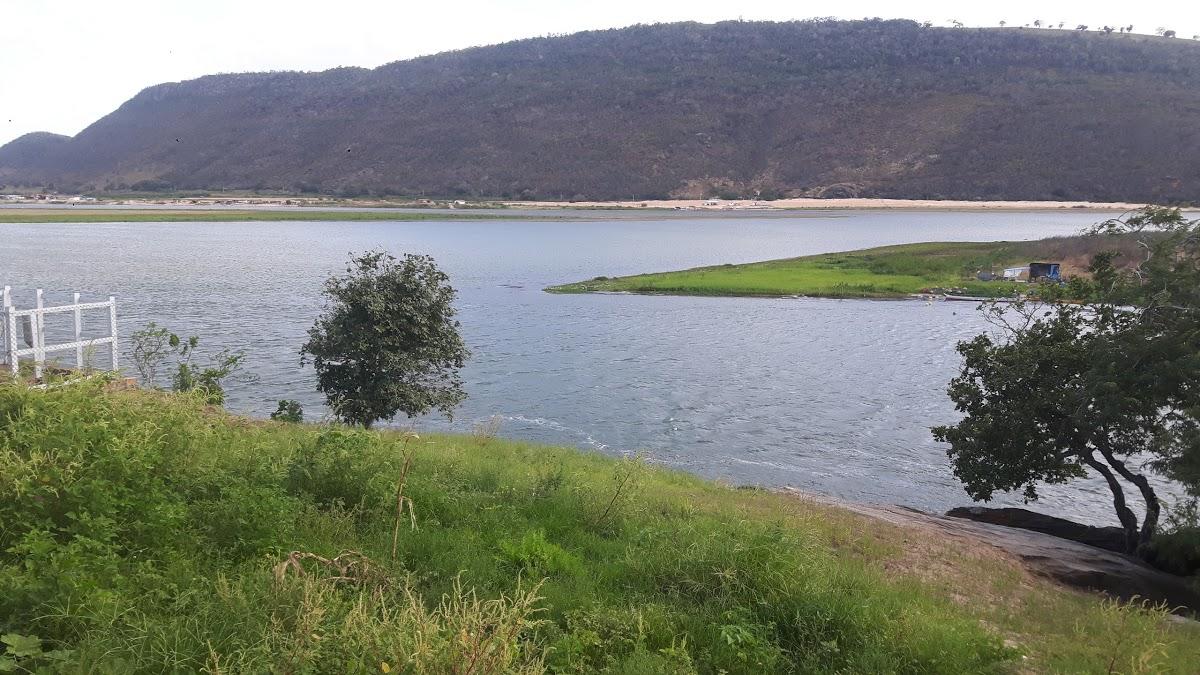 Registro de marca em Traipu, Alagoas