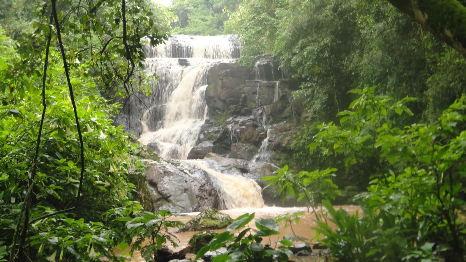 Registro de marca em Travesseiro, Rio Grande do Sul