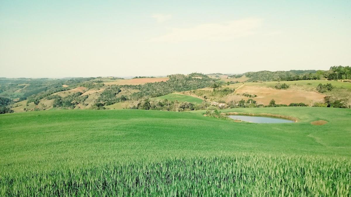 Registro de marca em Três Arroios, Rio Grande do Sul