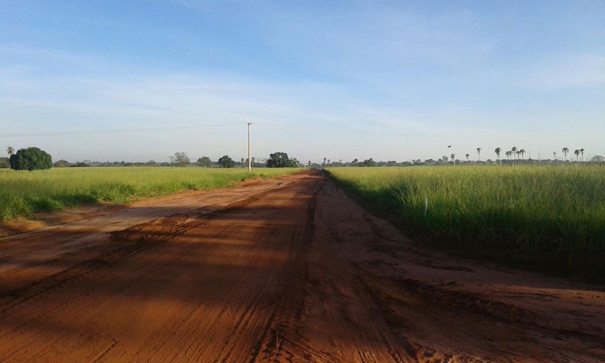 Registro de marca em Três Fronteiras, São Paulo