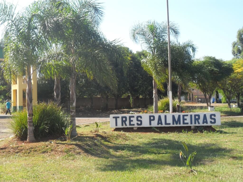 Registro de marca em Três Palmeiras, Rio Grande do Sul
